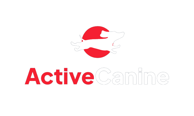ActiveCanine-1-removebg-preview